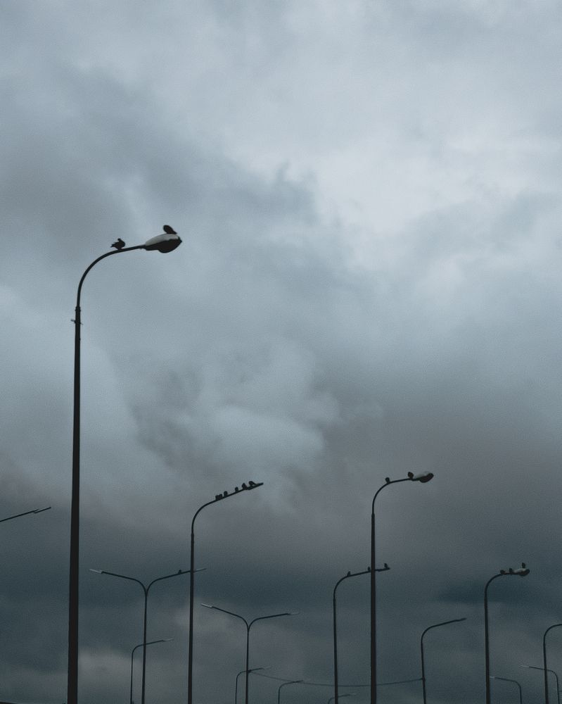 Photograph by шитиков никита