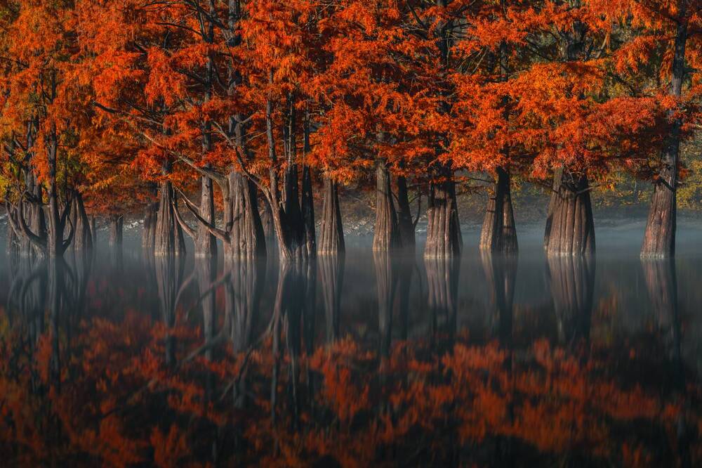 Photograph by Александр Хорошилов