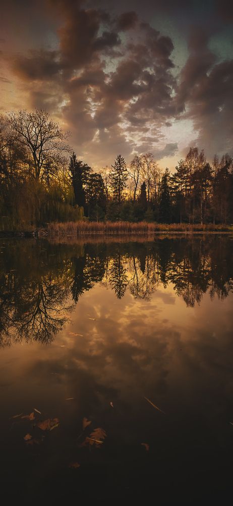 On the other side of the mirror