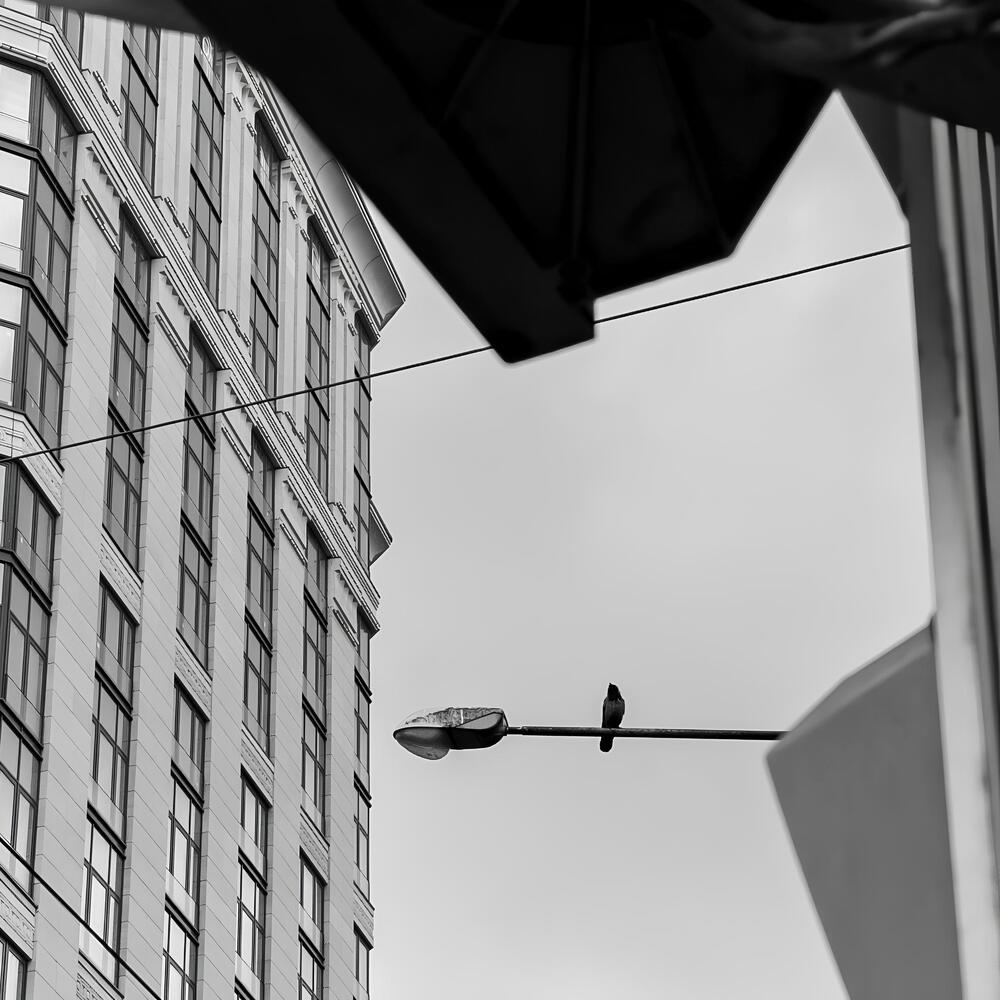 Фотография автора Данил Сорокин