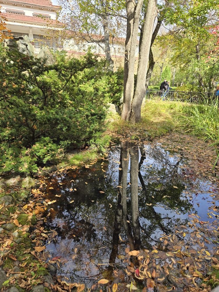 Photograph by Жанна Регор