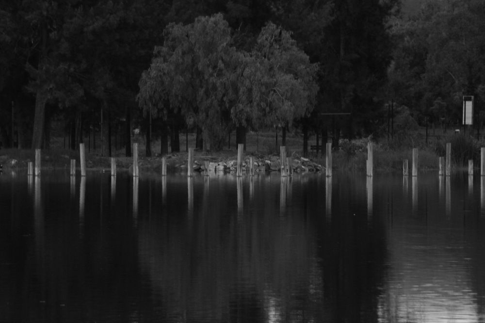 Photograph by Cesar Torres