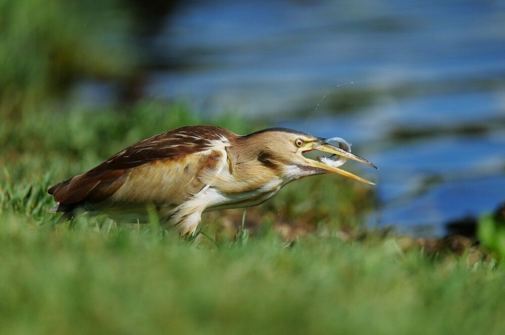 Photograph by Оксана Архипова