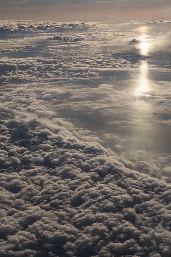 Photograph by Alla Nikitenko