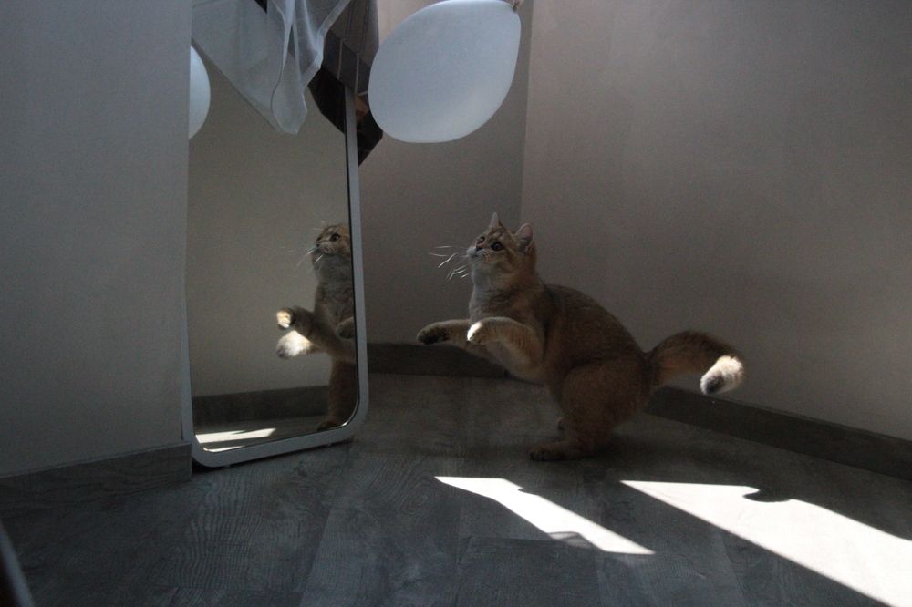 Photograph by Лев Розенберг