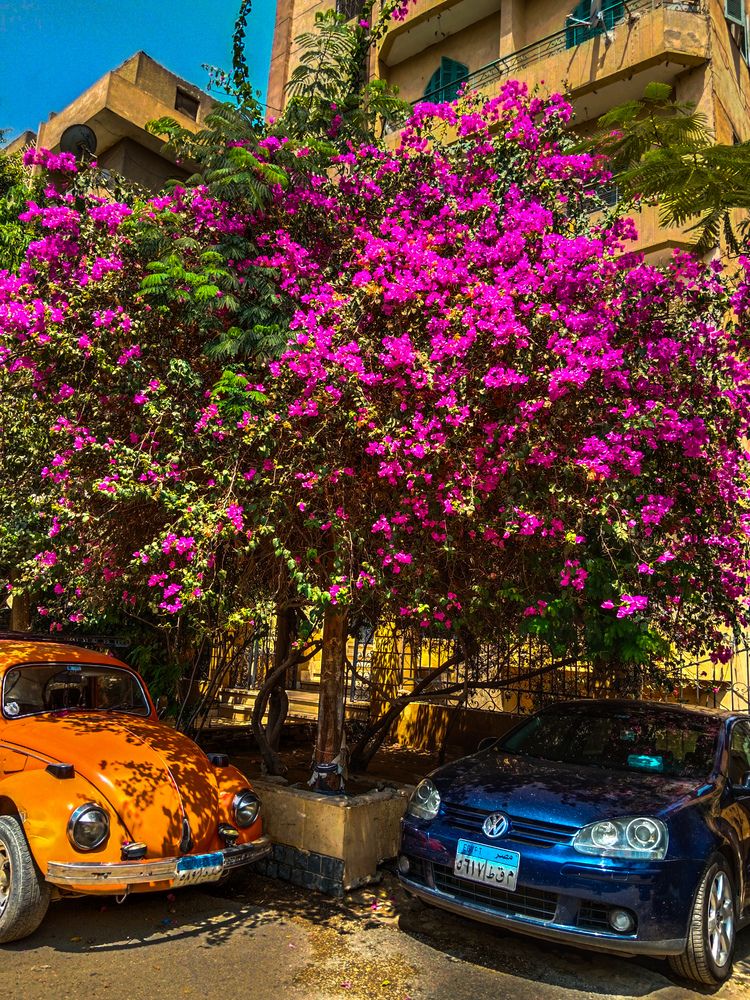 Photograph by Hager Ramadan