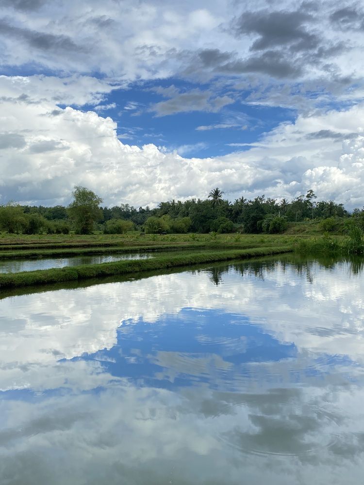 Фотография автора Pauline Jade Bolanio