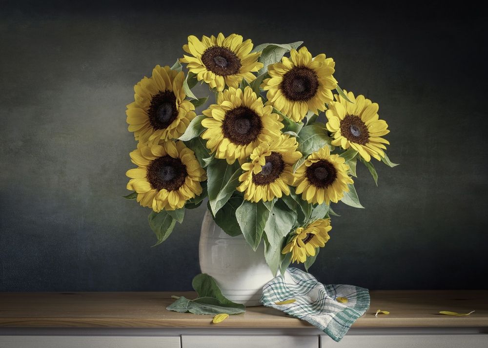 Фотография автора Viktoriya Shamanova