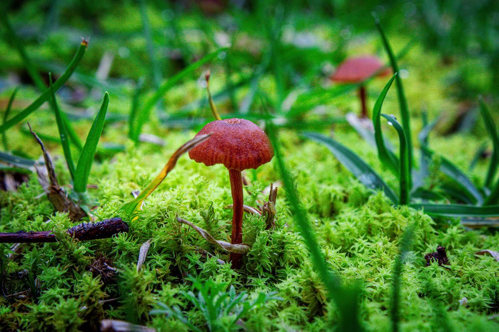 Photograph by Roger Laverde