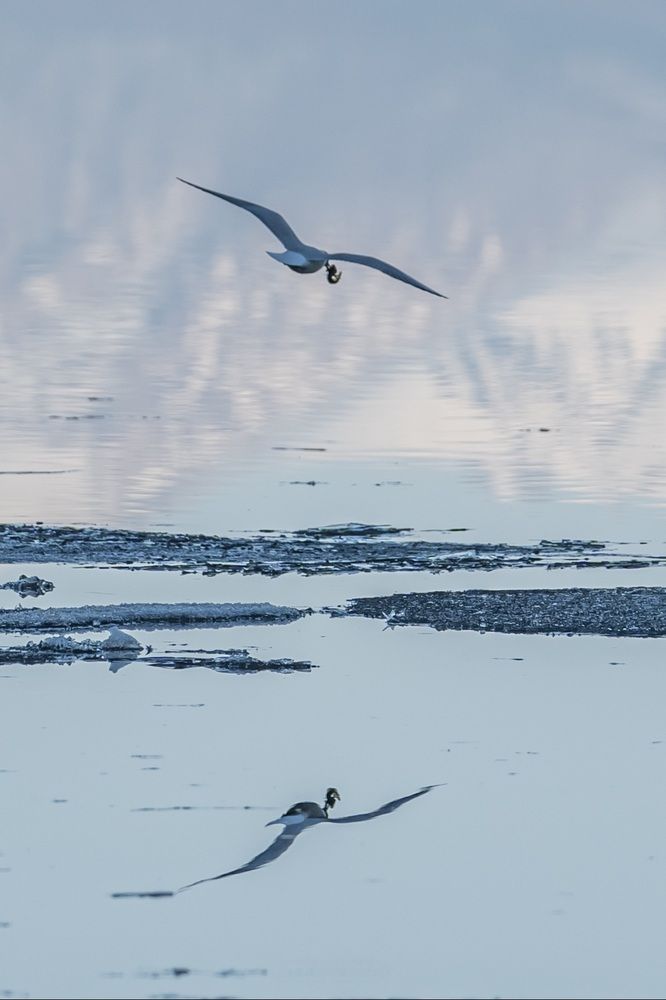 Photograph by Виктория Лобанова