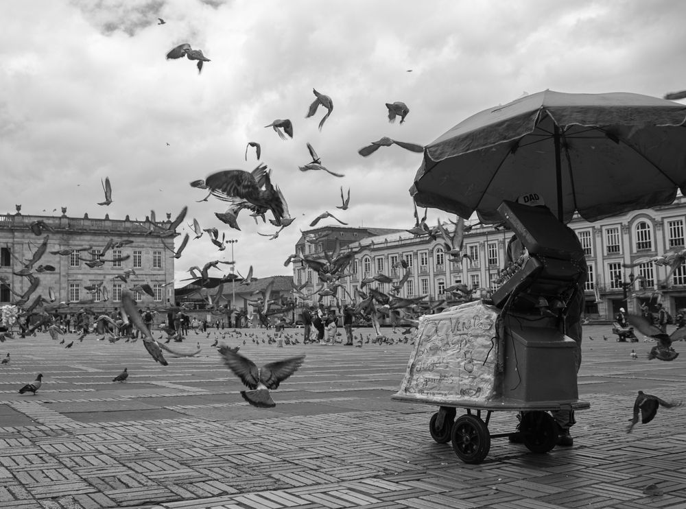 Фотография автора Roger Laverde