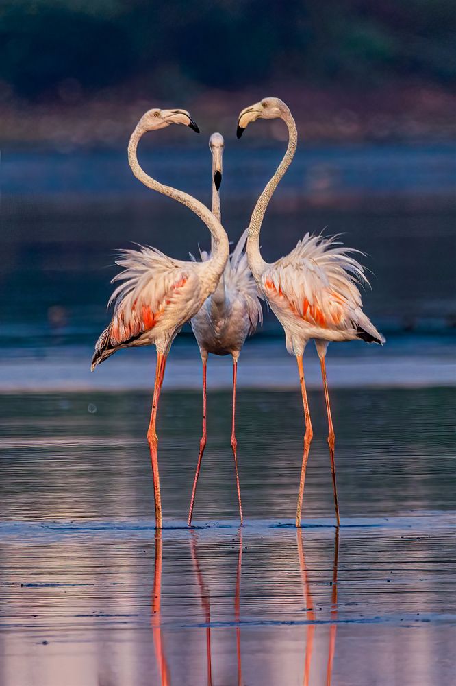 Photograph by Zinda Shaik Mohideen M