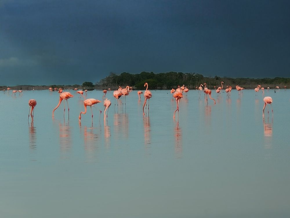 Фотография автора fabio chiari