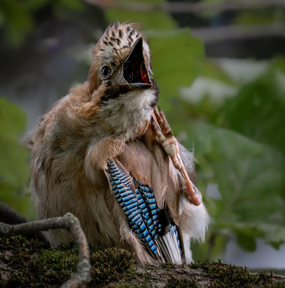 Photograph by Курлянцев Алексей