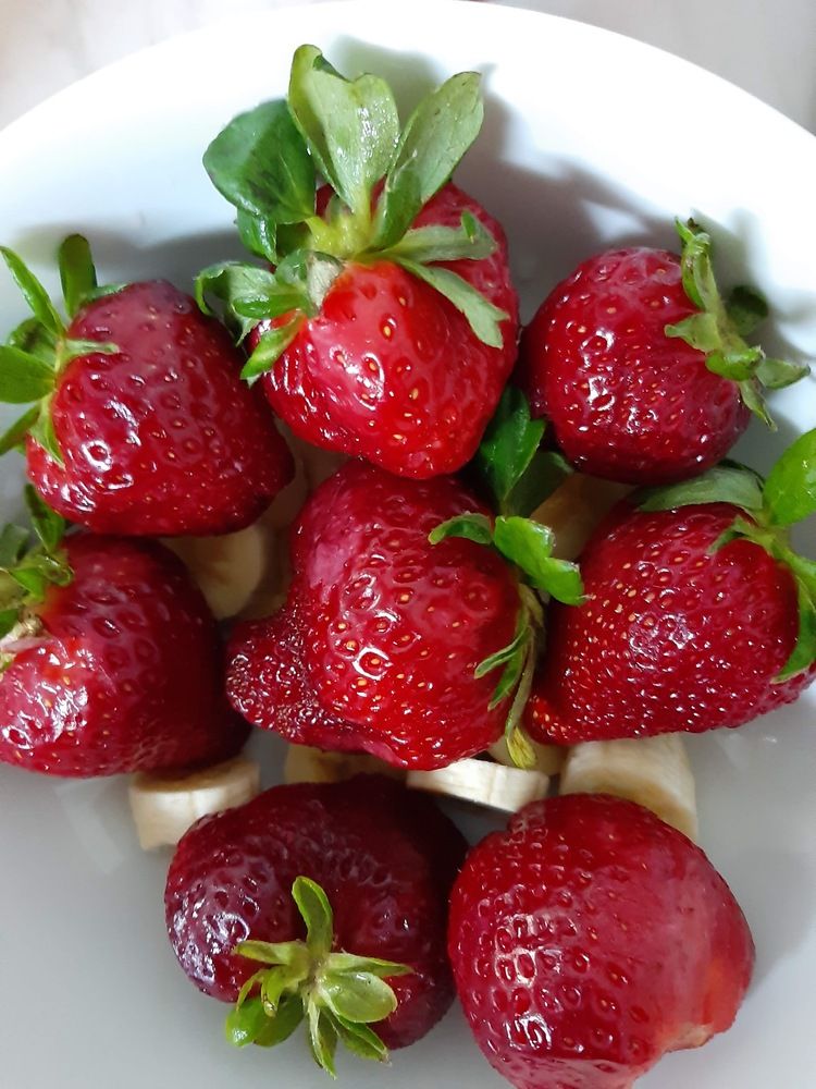 Фотография автора Irena TURČINSKAJA