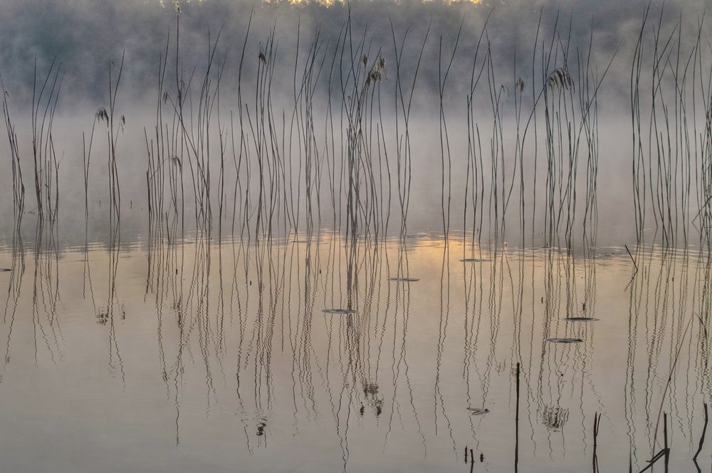 Photograph by Елена Кошелева