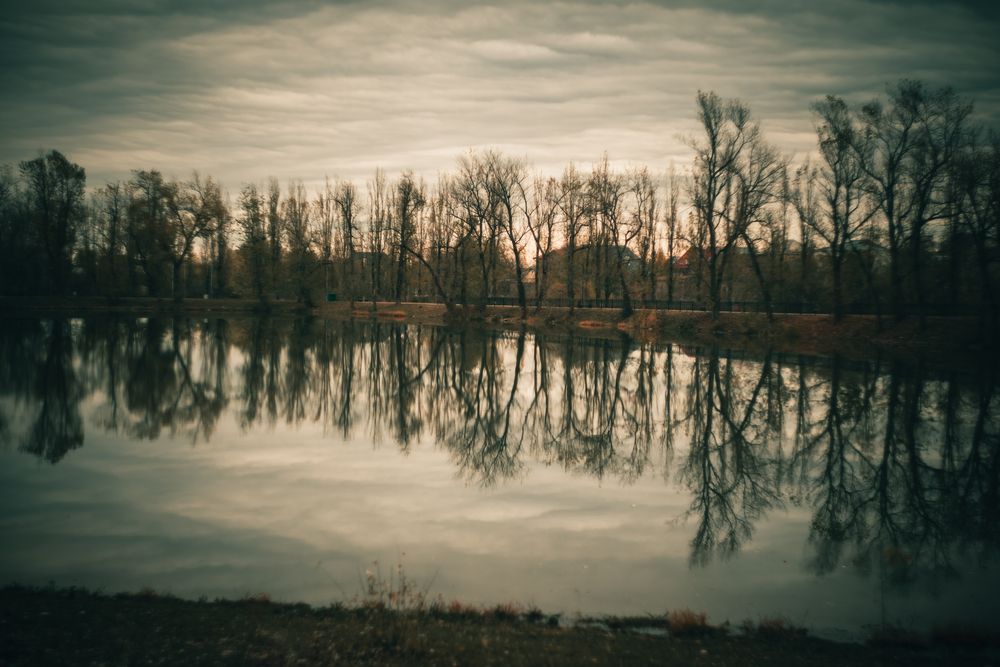 Фотография автора Referee Дмитрий