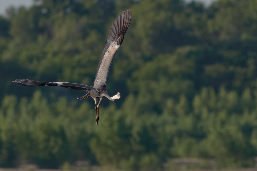 Photograph by Андрей Аксёнов