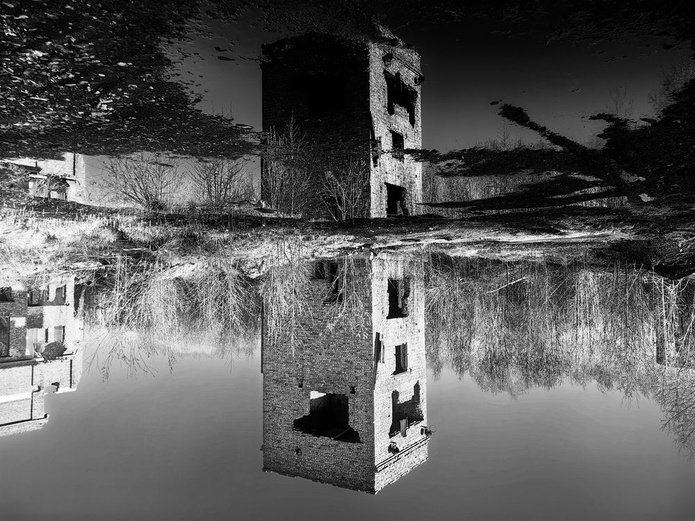 Молчаливая симфония