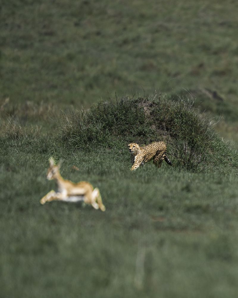 Photograph by madhur nangia