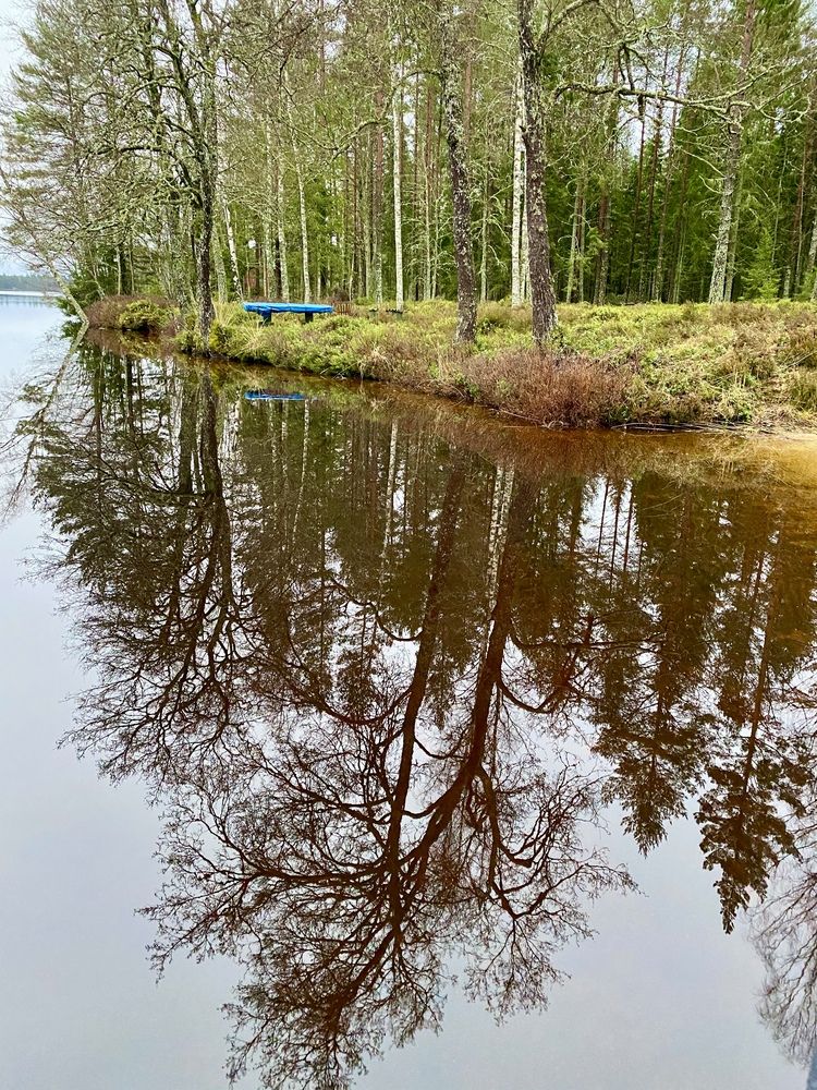 Photograph by Nune Pashayan