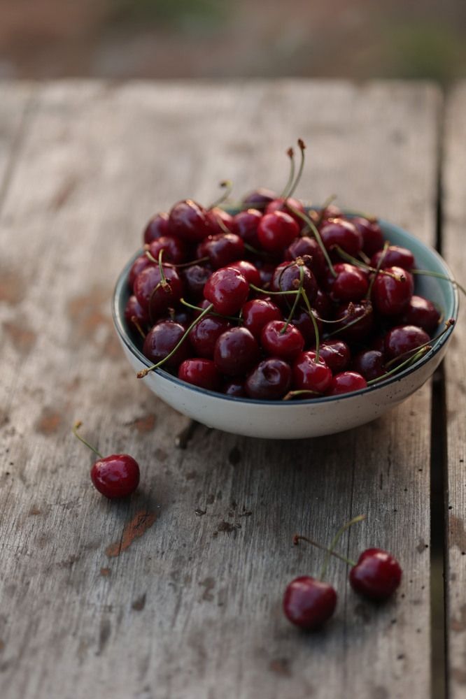 Photograph by Савиных Дарья