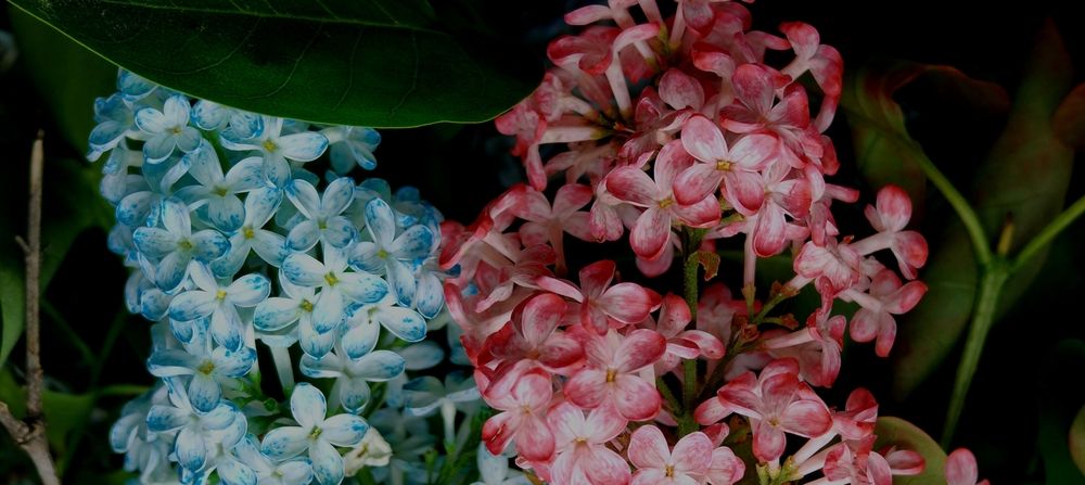 Photograph by Дарина Ворошилова