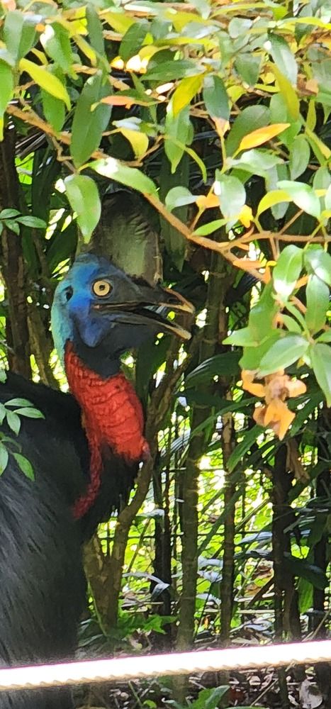 Photograph by Tatiana Denisova