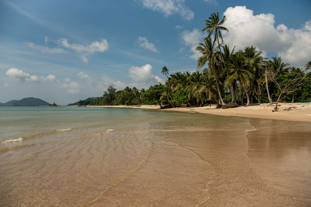 Photograph by Kseniia Suvorova