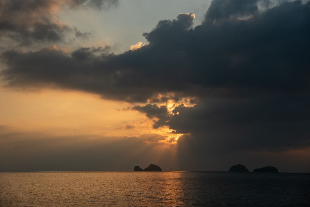 Photograph by Kseniia Suvorova