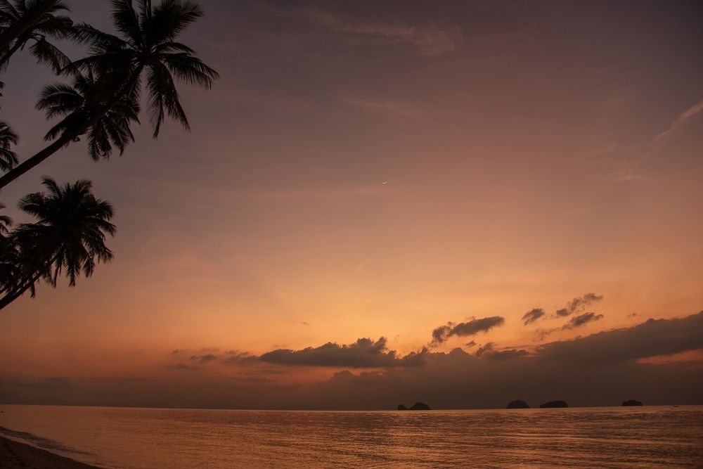 Photograph by Kseniia Suvorova