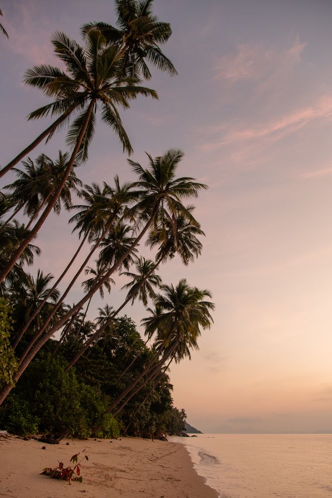 Photograph by Kseniia Suvorova