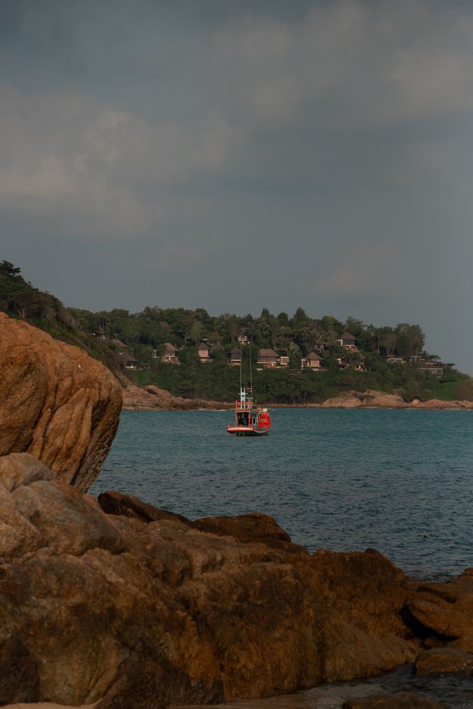 Photograph by Kseniia Suvorova