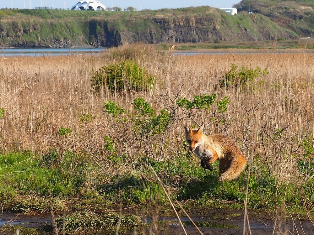 Photograph by Ольга Панкова