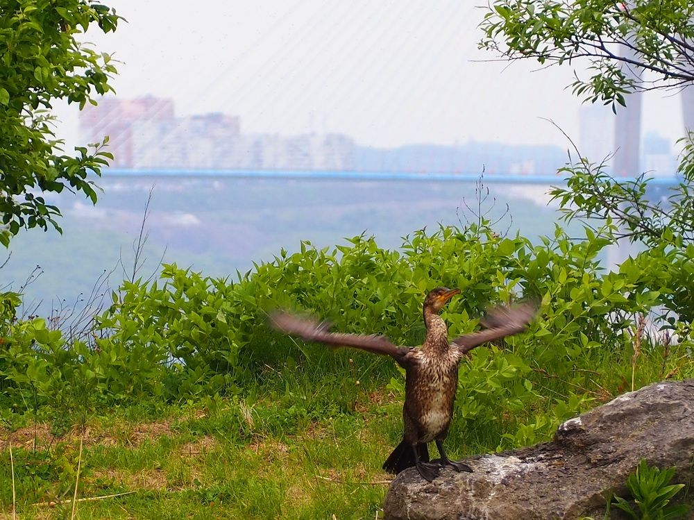 Photograph by Ольга Панкова