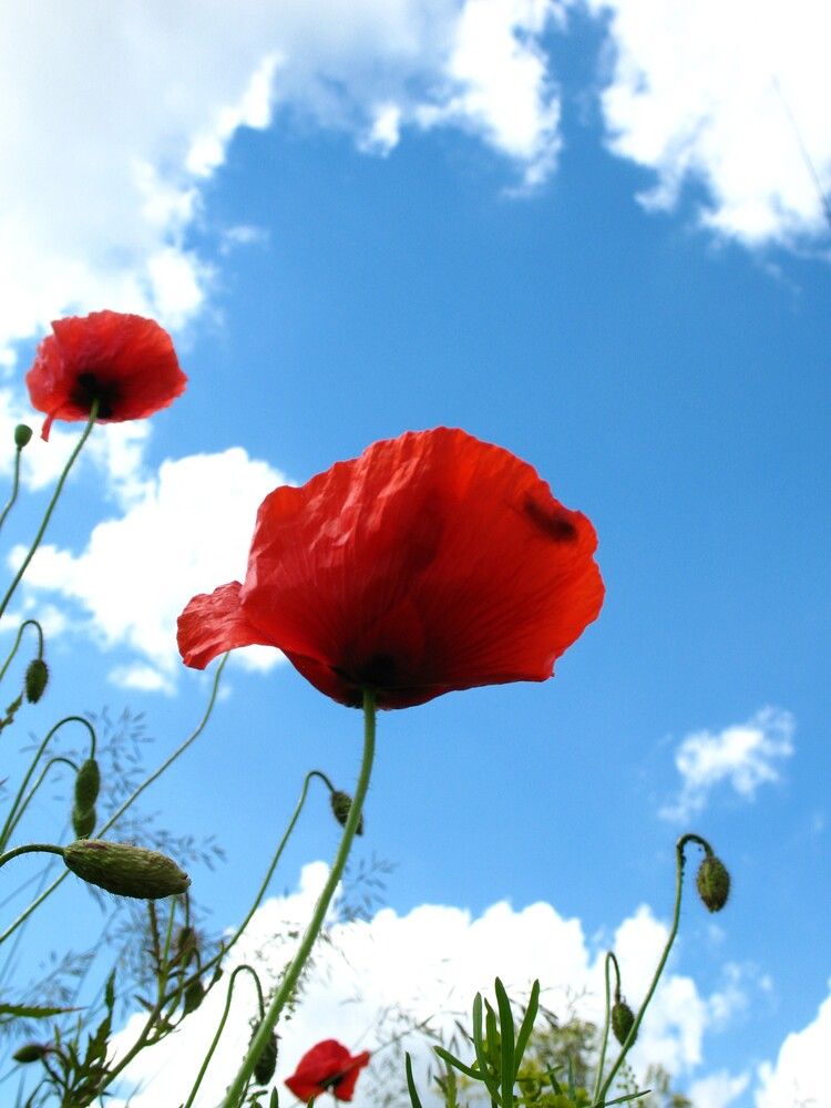 Фотография автора Евгений