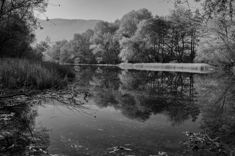 Фотография автора Emir Kurtanović