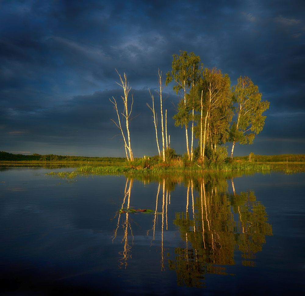 Photograph by Сергей Аникин