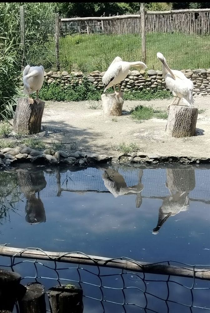 Photograph by Ирина Тихая