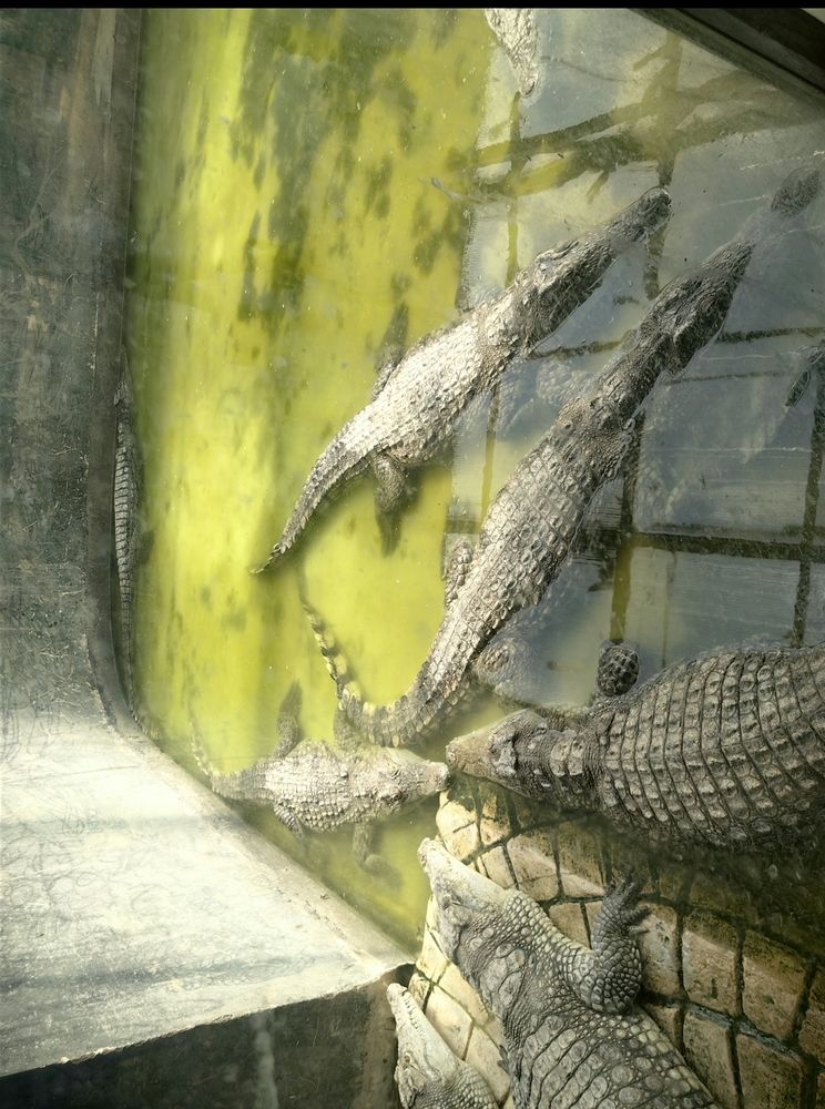 Photograph by Ирина Тихая