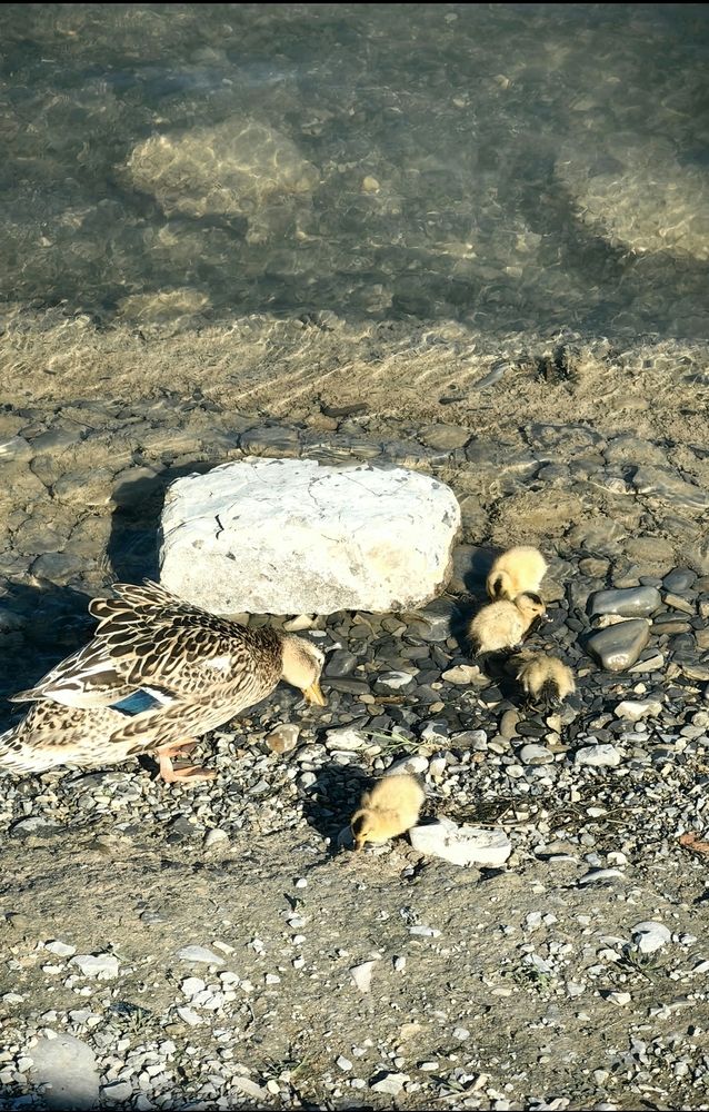 Photograph by Ирина Тихая