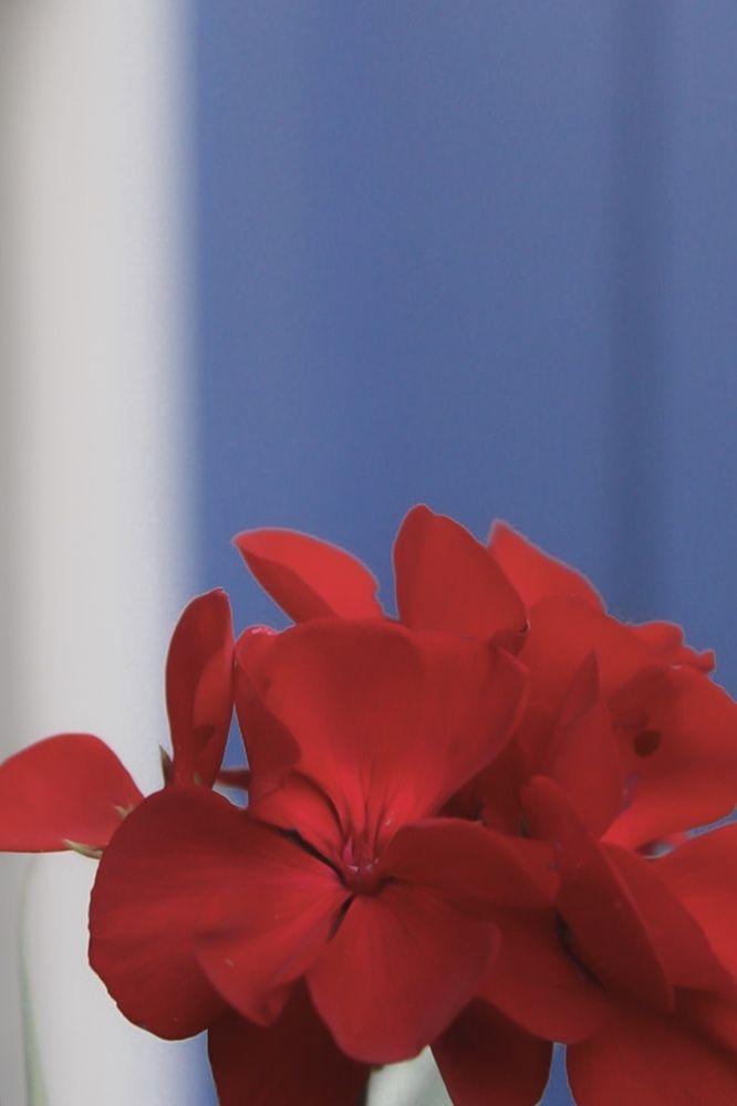 Photograph by Татьяна Смирнова