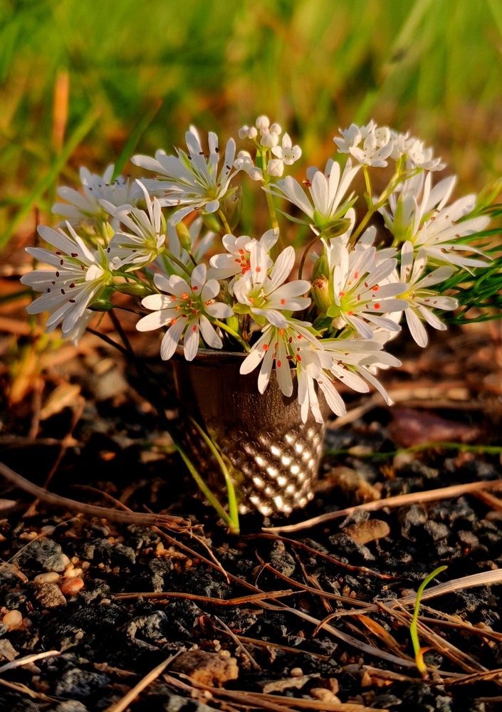 Photograph by Елена Кузьмичева