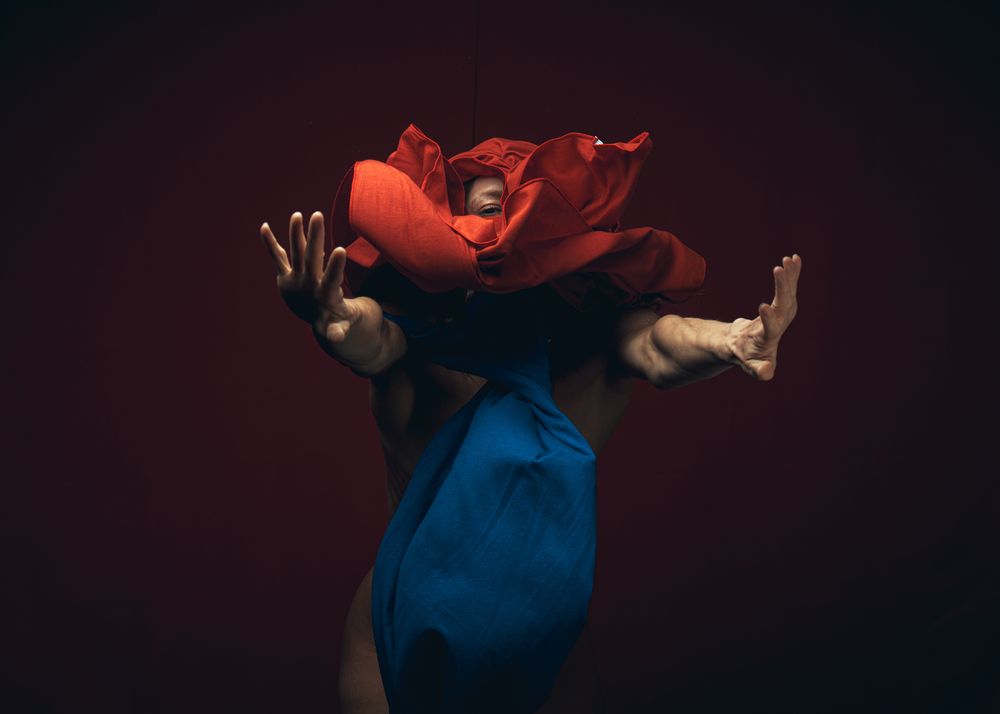 Фотография автора Николай Гришин