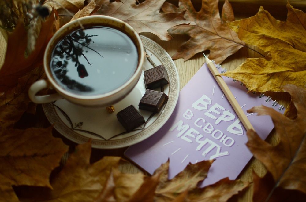 Фотография автора Ольга Жлоба