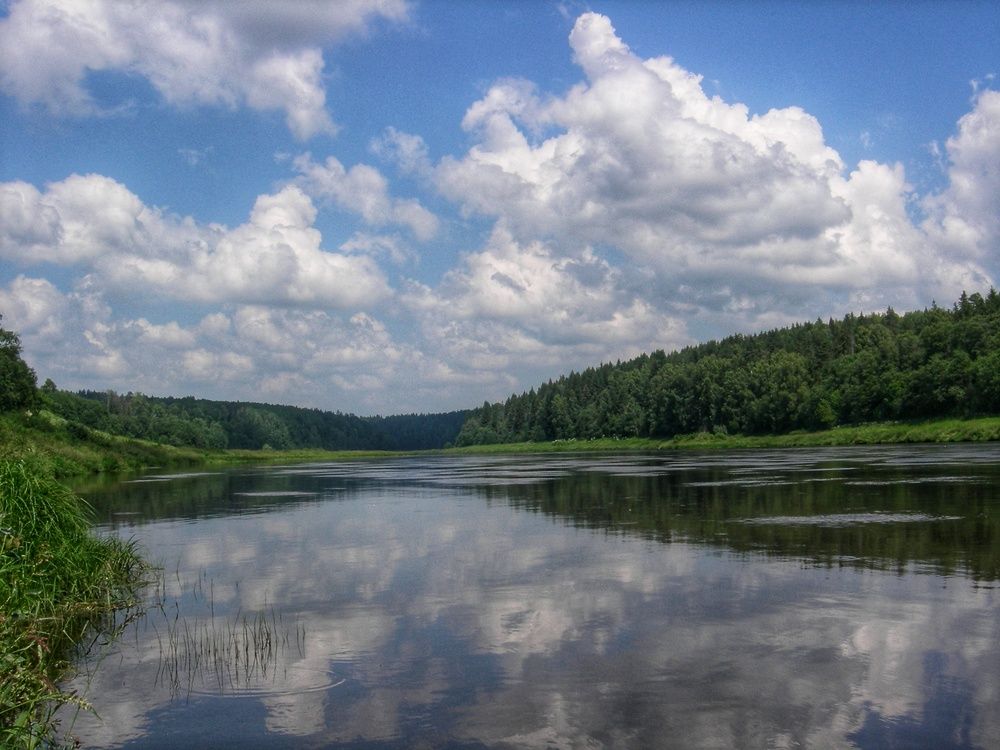 Фотография автора Ольга Жлоба