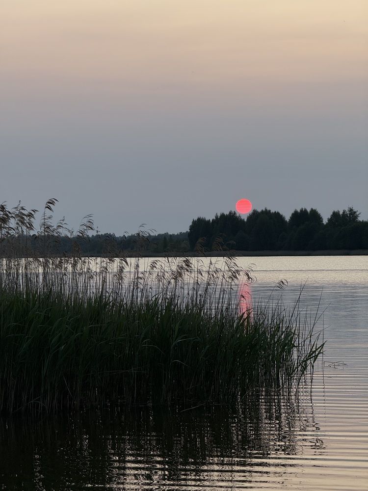 Photograph by Светлана Долганова