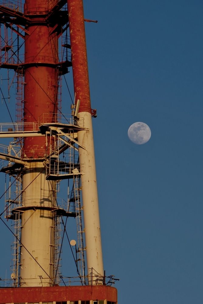 Photograph by Aarohi gupta