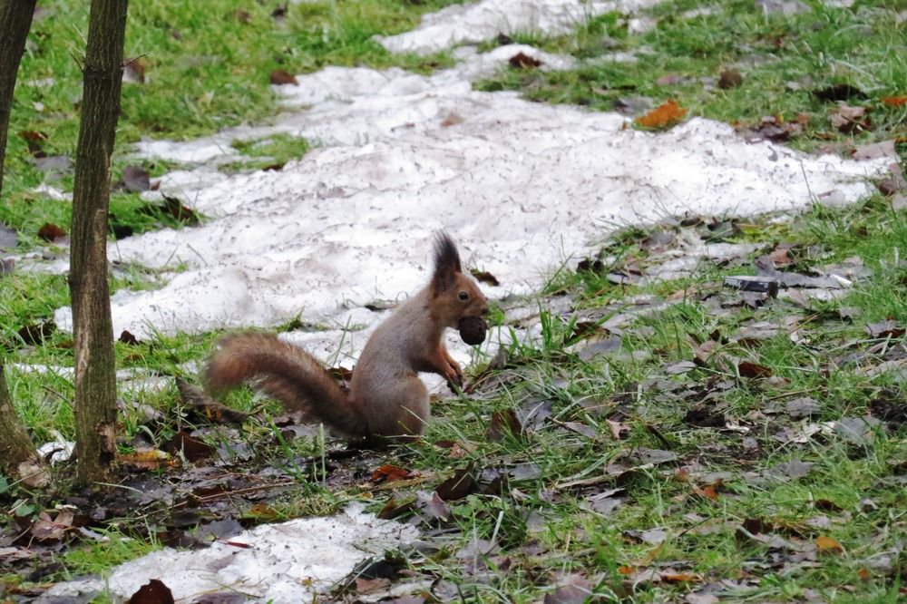 Photograph by Елена Казарина