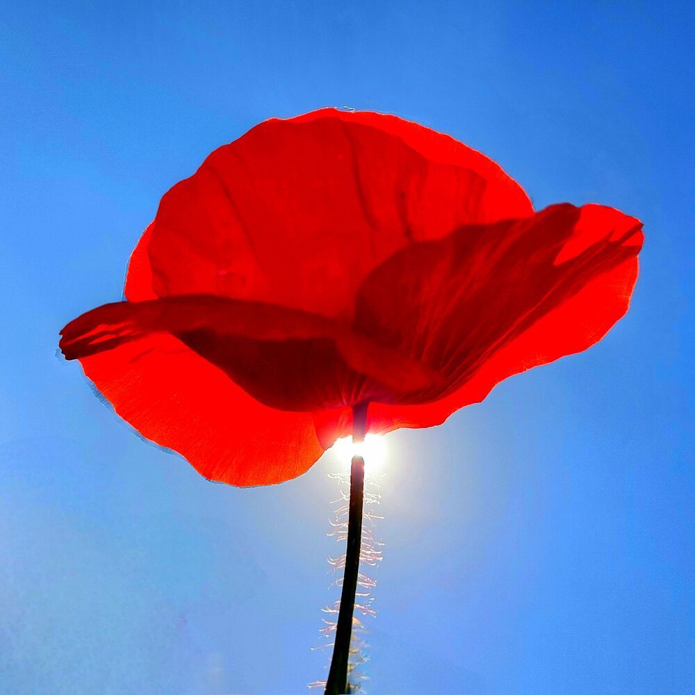 Photograph by Brigita Lehoťanová